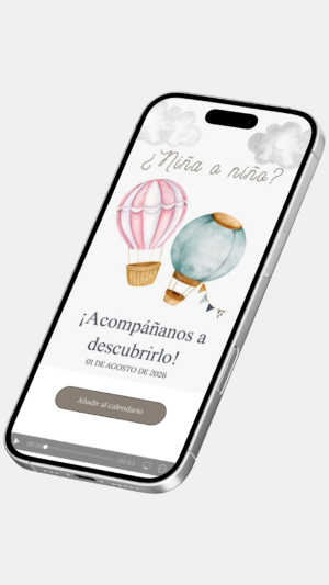 gender reveal globos